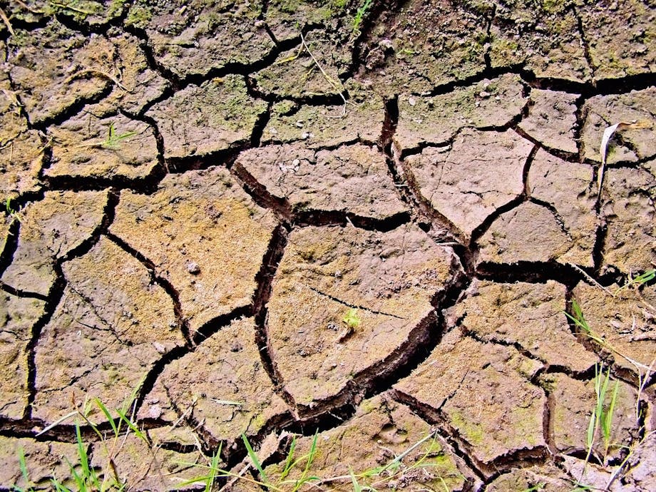 Dry land Dry land