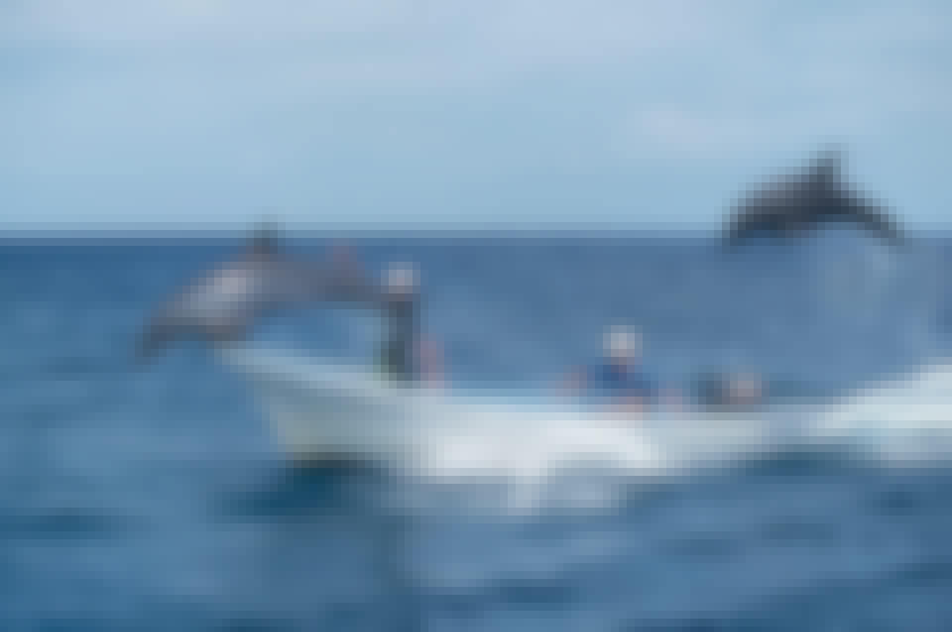 Dolphins playing with men in boat