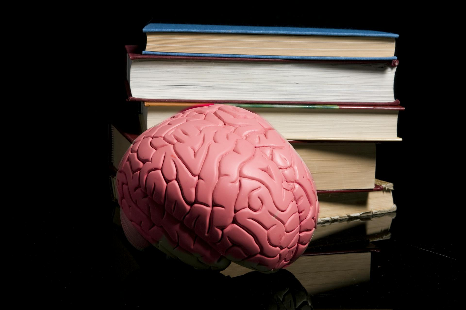 Brain and books Brain and books