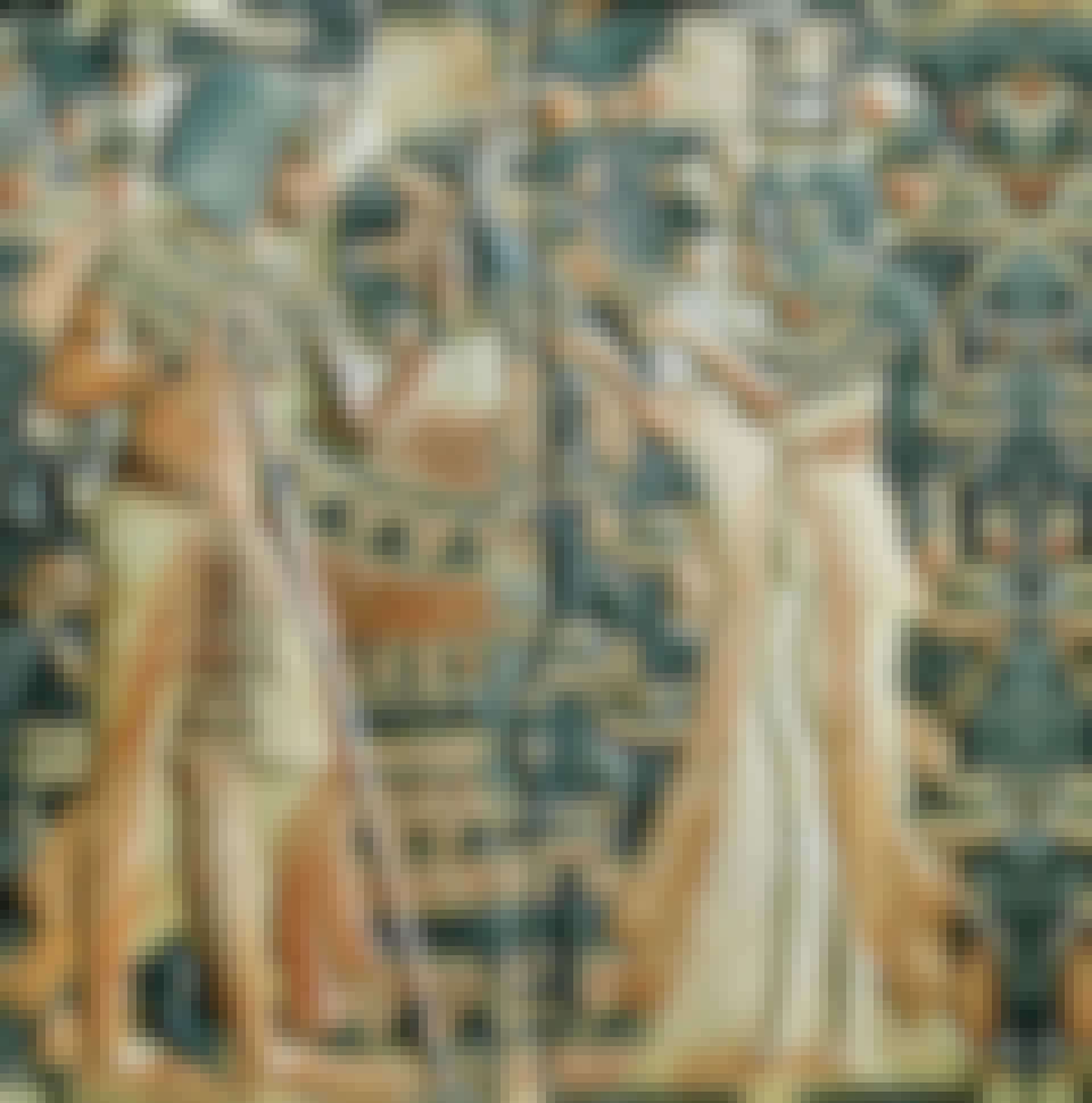 Tutankhamon and wife