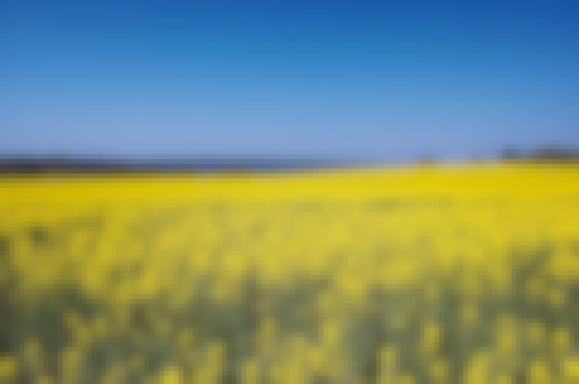 Blå himmel Blå himmel