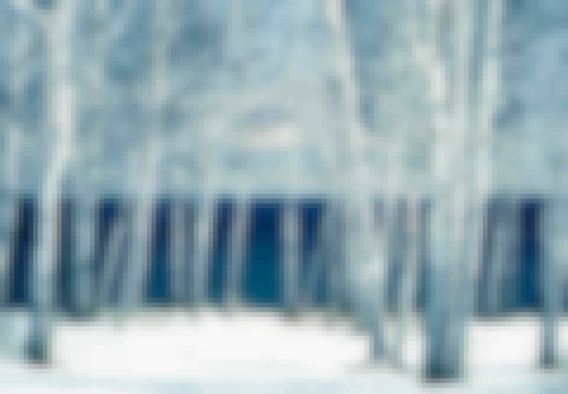 Birch
