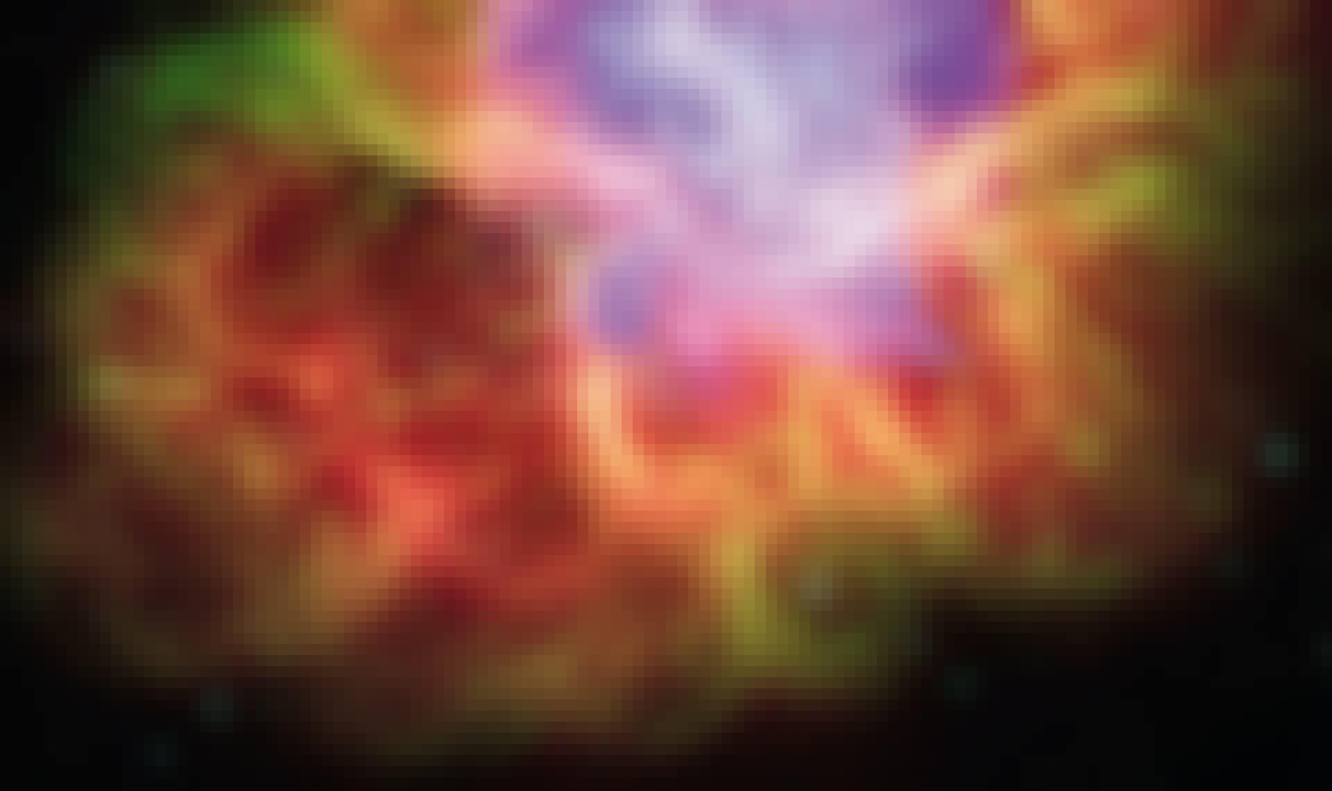 Supernova Supernova