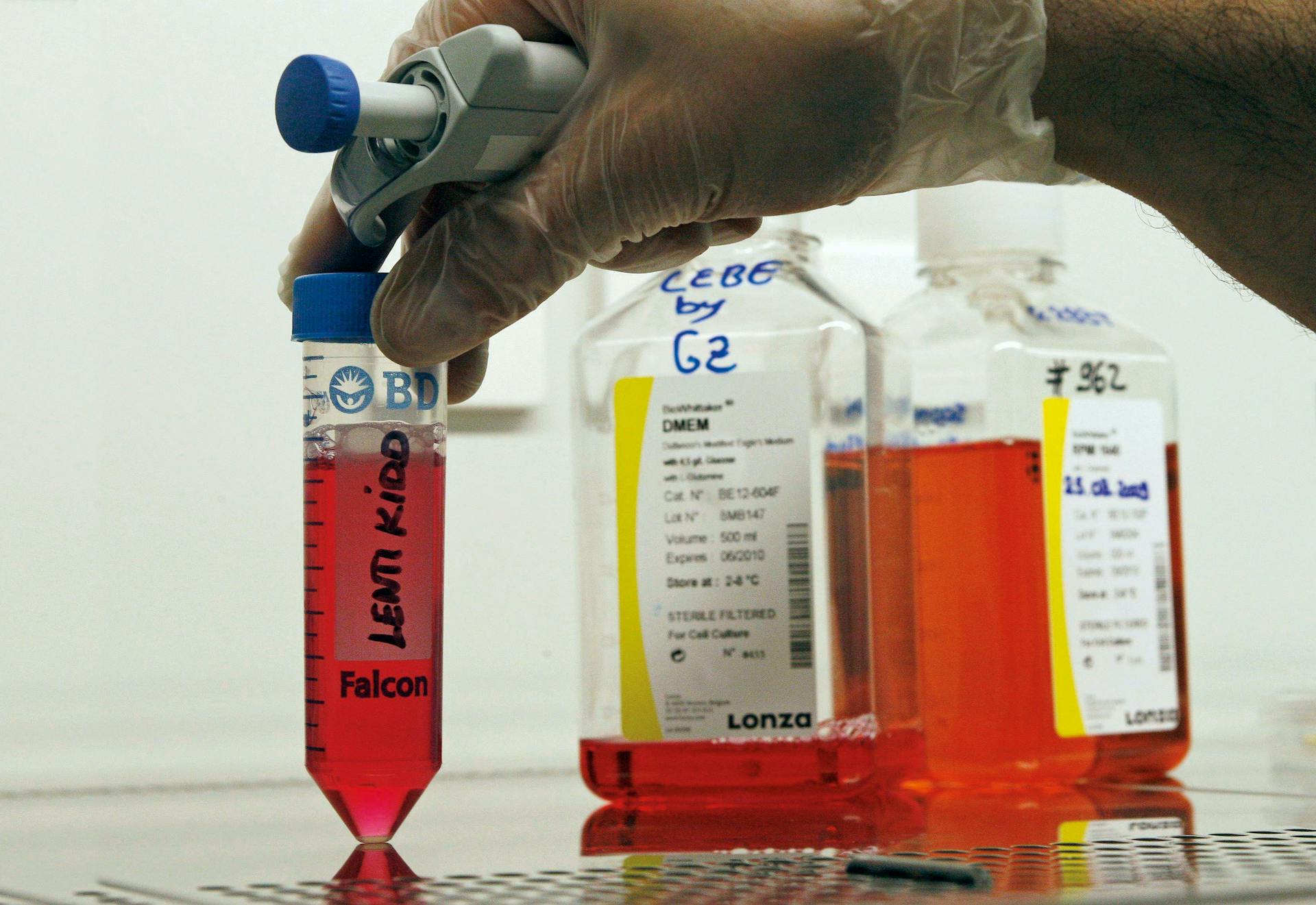Blood substitutes Blood substitutes