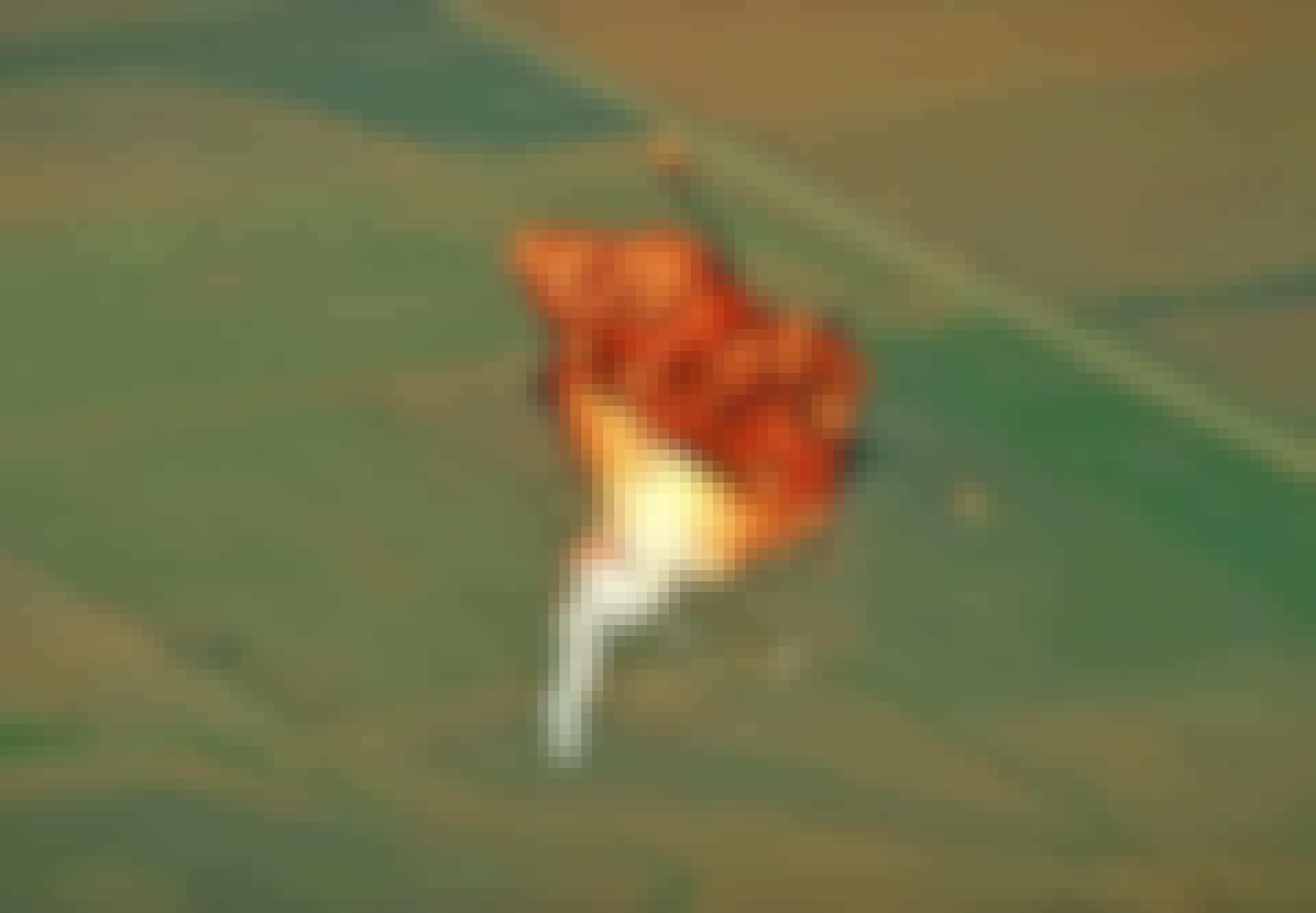 Explosion Explosion