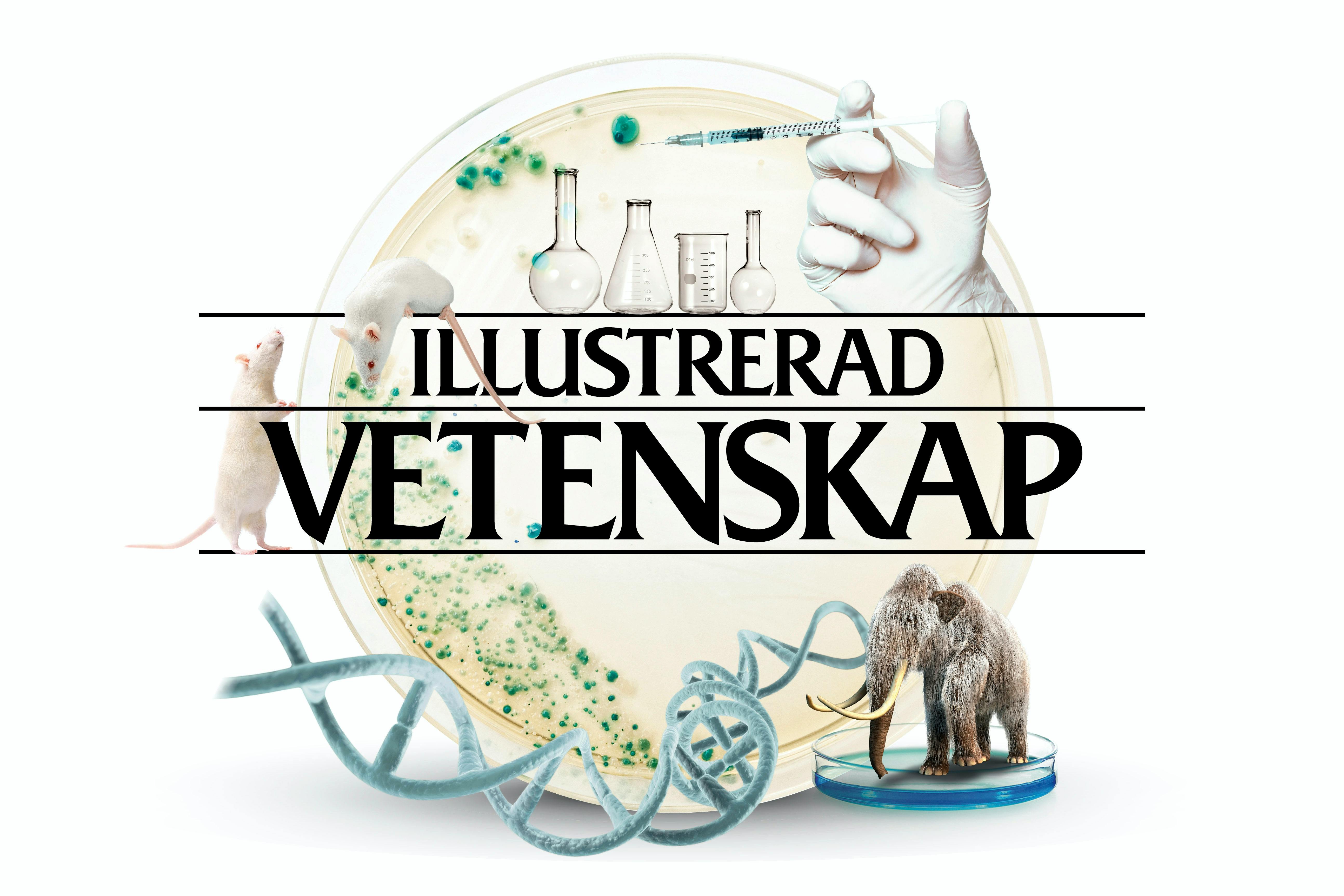 Iq Test Illustrerad Vetenskap Gratis