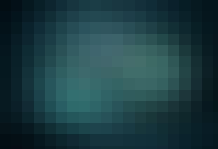 Gigantlead Verdens største dyr