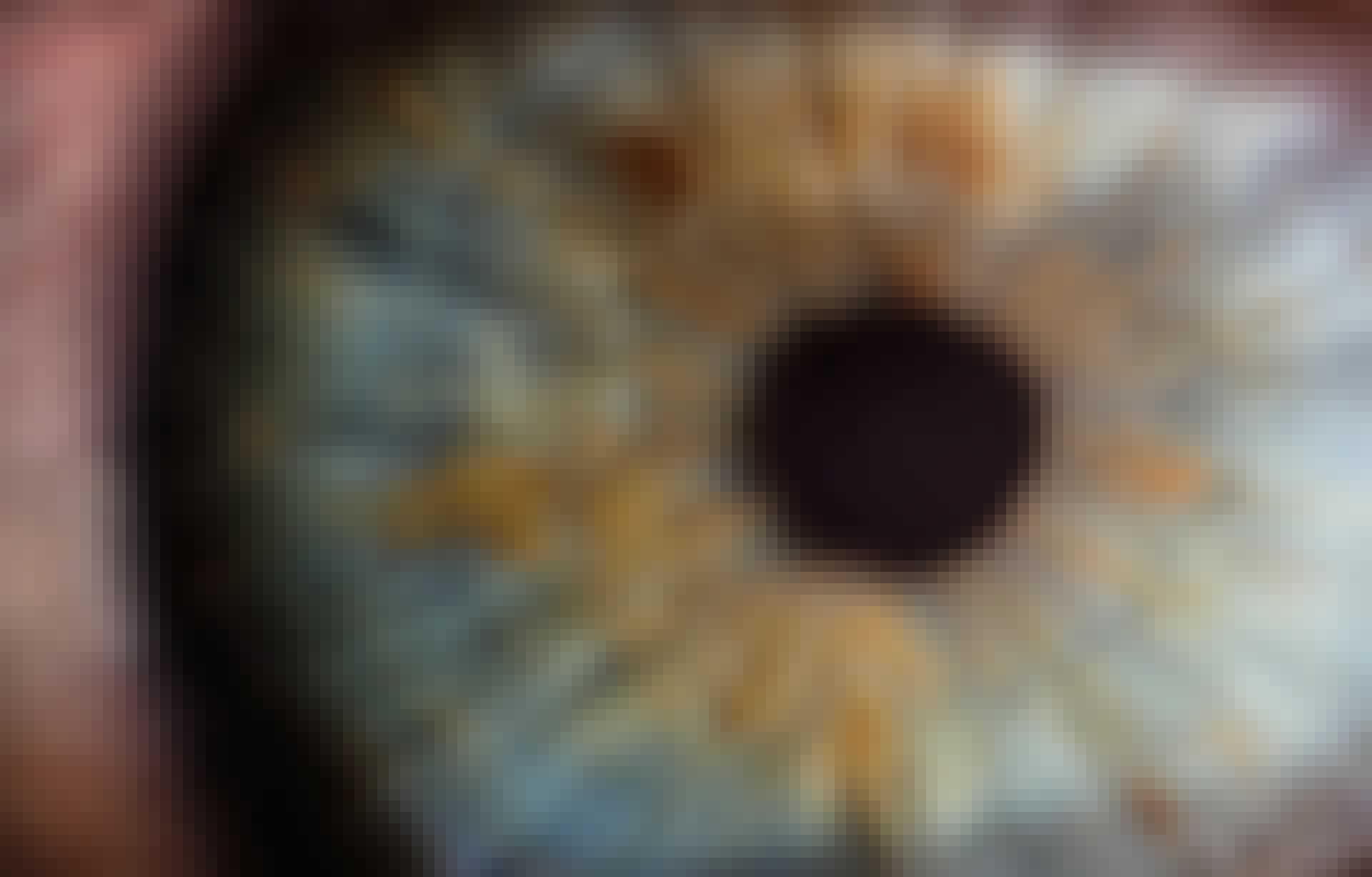 oldskool-photography-184484-unsplash Hvor mange billeder kan øjet opfatte i sekundet?