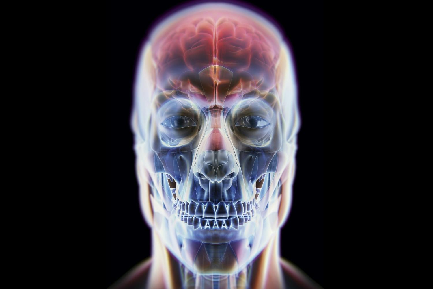 X-ray scull X-ray scull