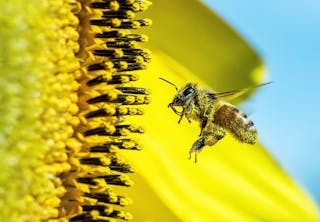 Wype logg inn Wype logg inn