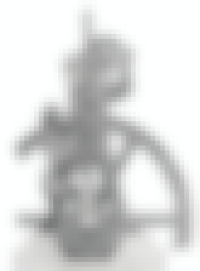 Dieselmotor Dieselmotor