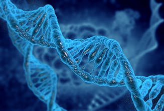 Illustrert vitenskap abonnement Illustrert vitenskap abonnement