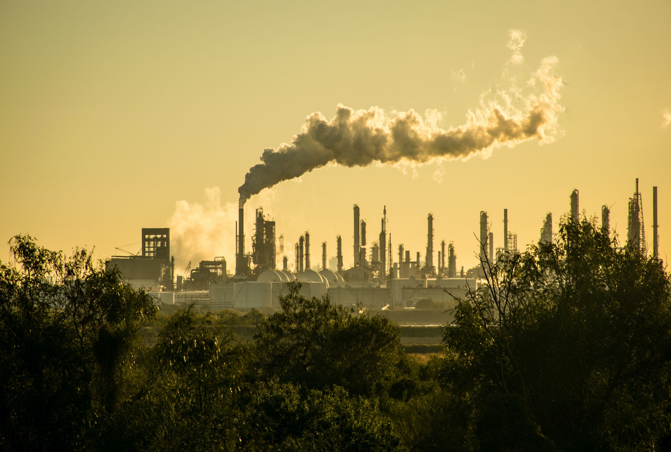 Klimaforandringer | Konsekvenser Og årsager | Illvid.dk