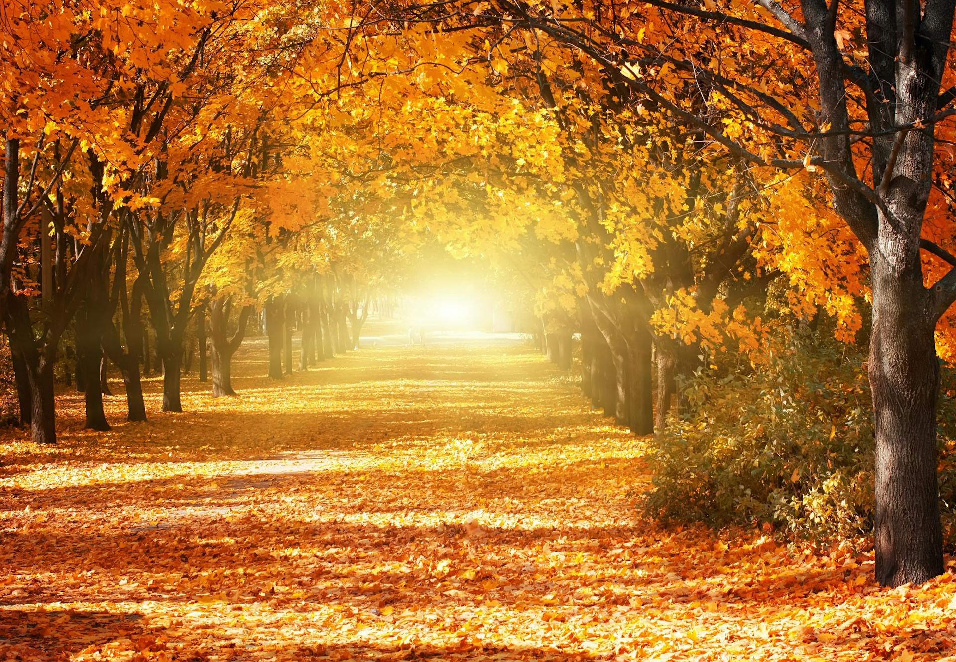 Herfstequinox Herfstequinox