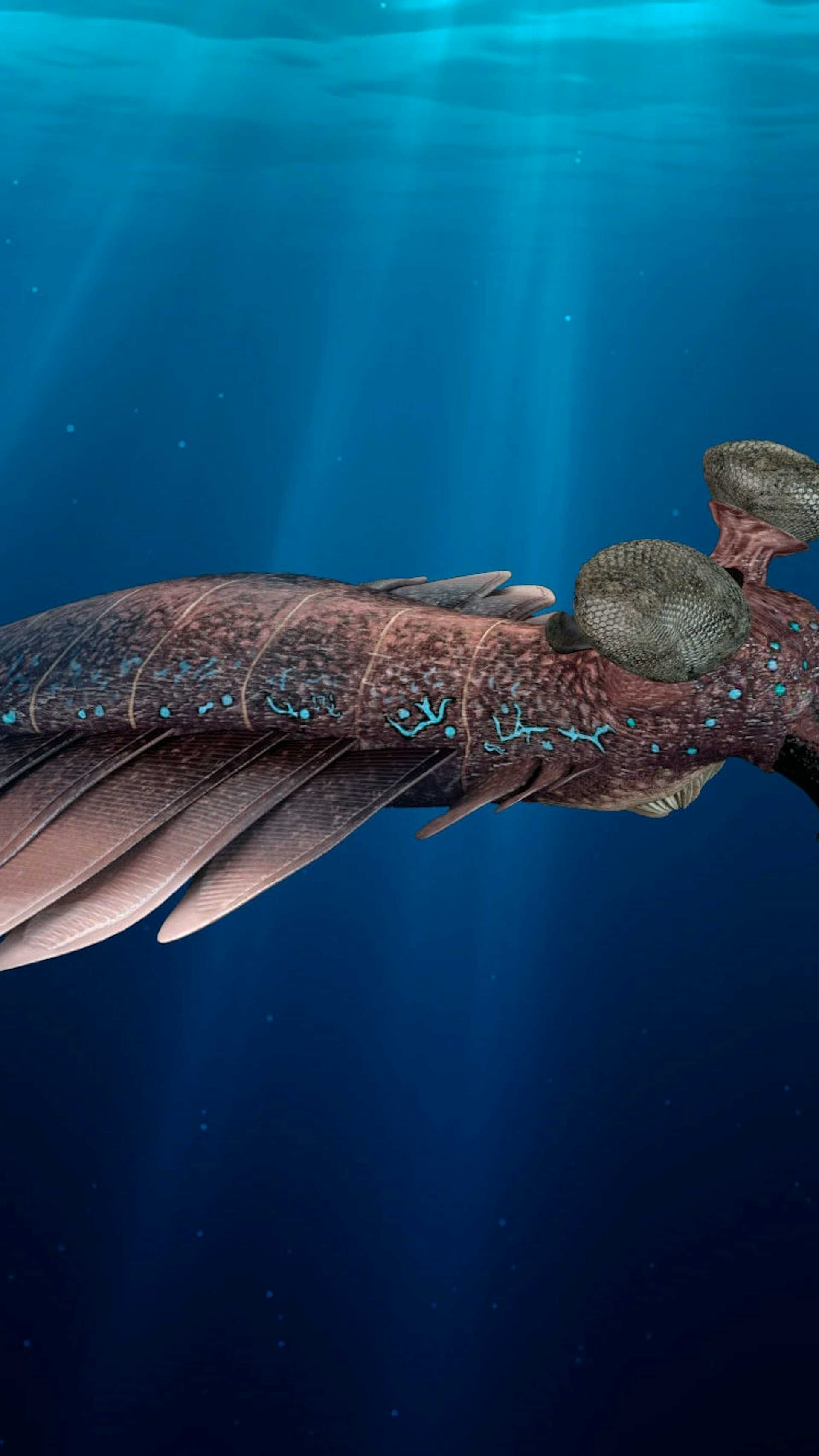 Flercellet Liv Opstod 25 Gange Illvid Dk