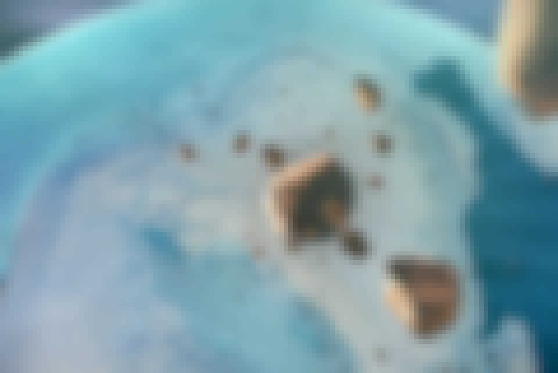 Meteor Meteor