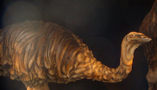 Og username checker Og username checker