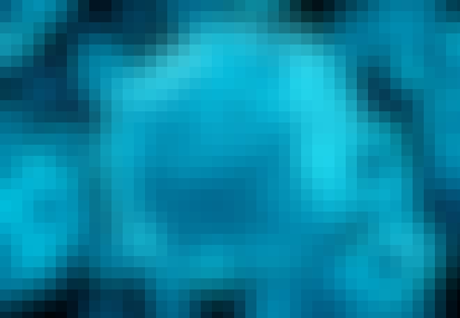 Herpesvirus Herpesvirus