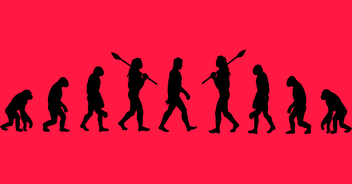 Evolutionen går også baglæns | illvid.dk
