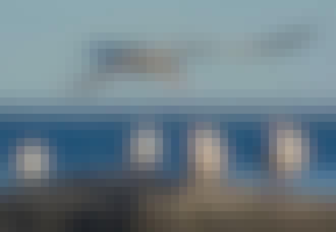 Rødnebbterne ved vannet Rødnebbterne ved vannet