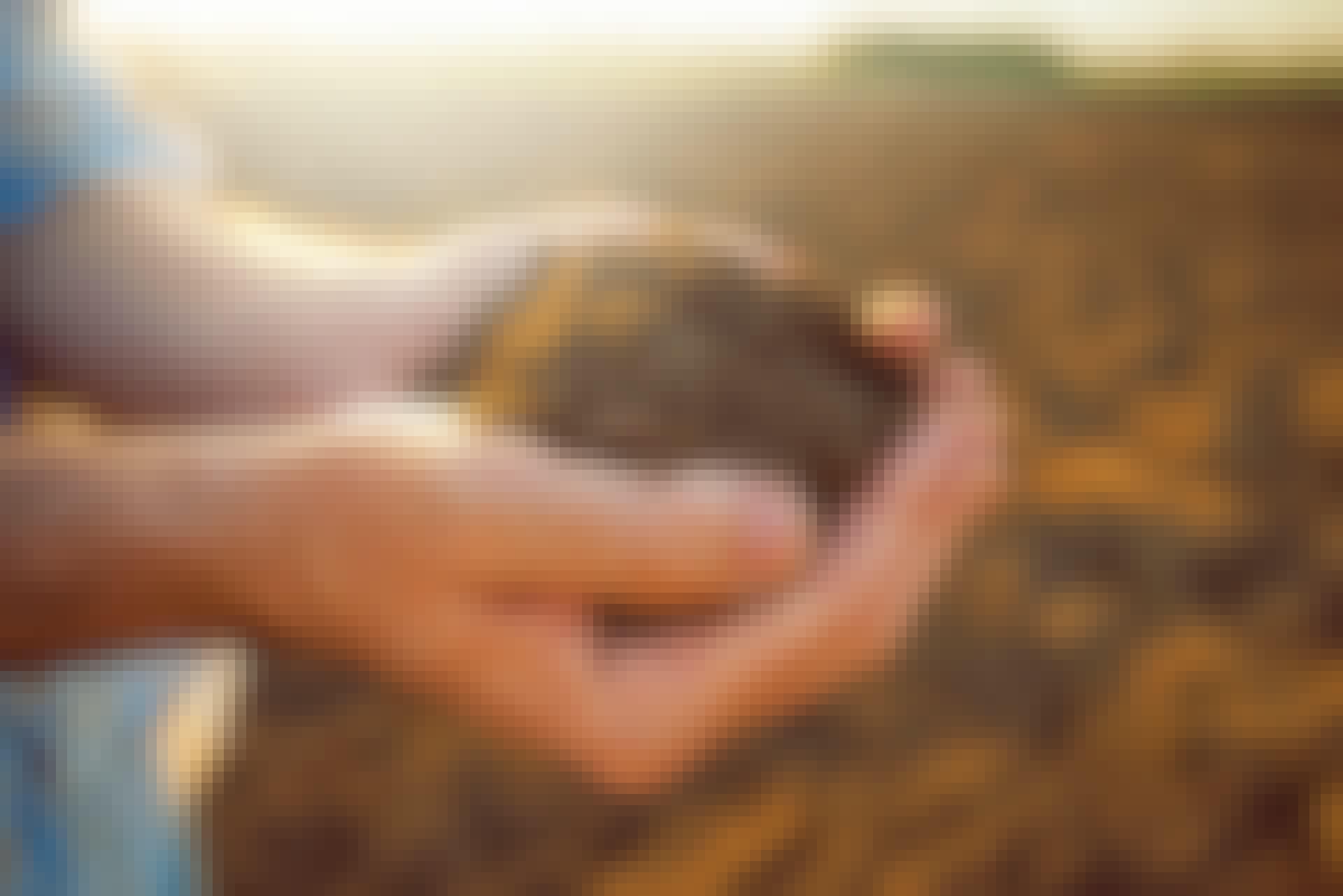 istock-529661632-web-1200x801