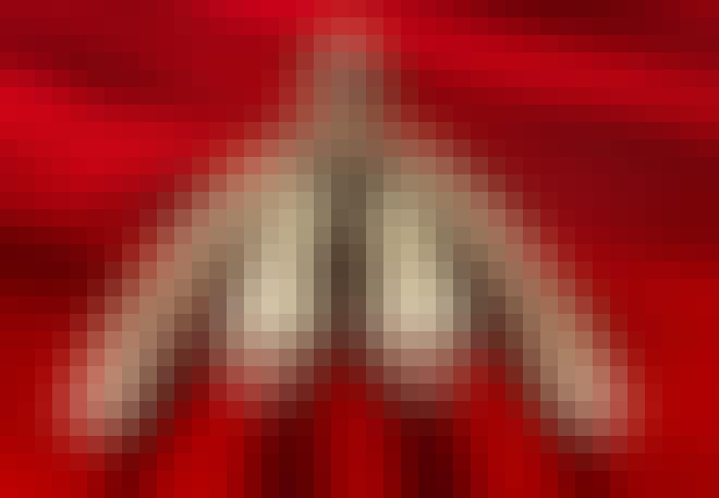 Clitoris anatomie Clitoris anatomie
