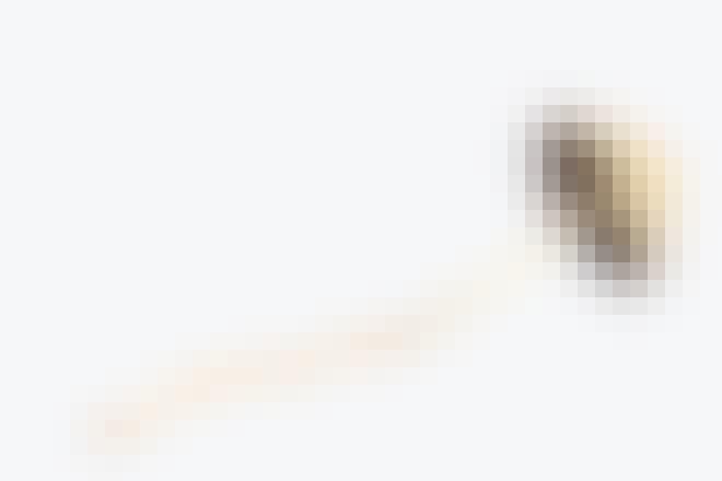psykedelisk svamp psykedelisk svamp