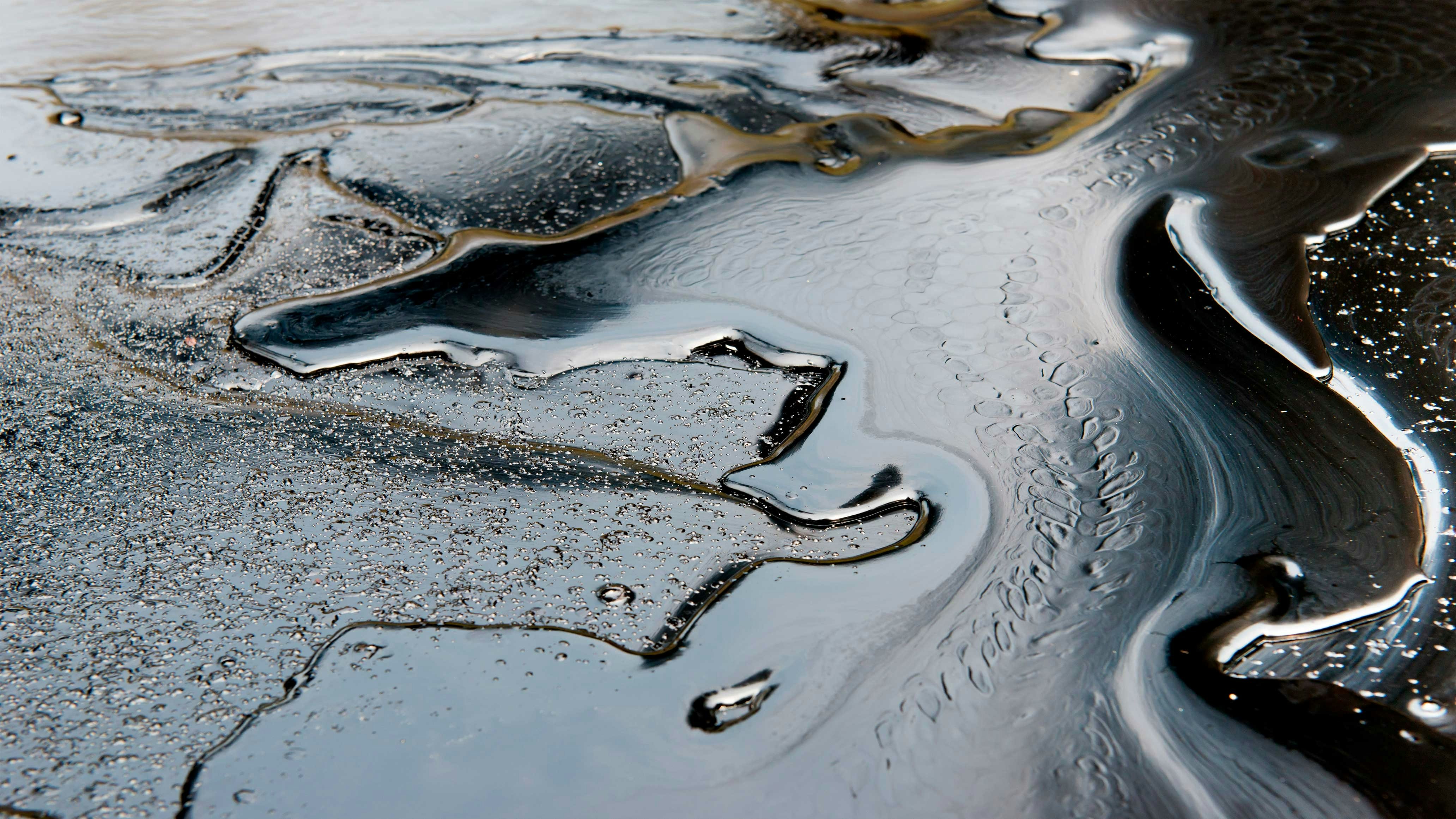 Hvordan dannes olje? illvit.no