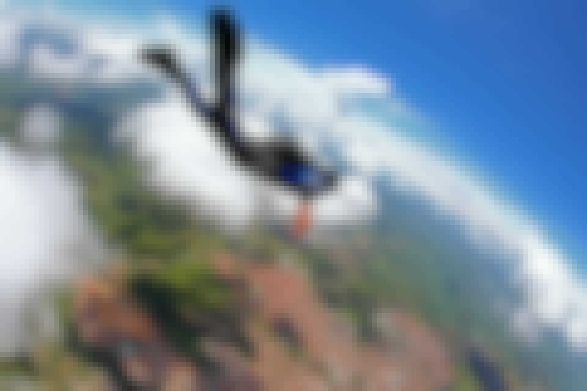 gravitation gravitation