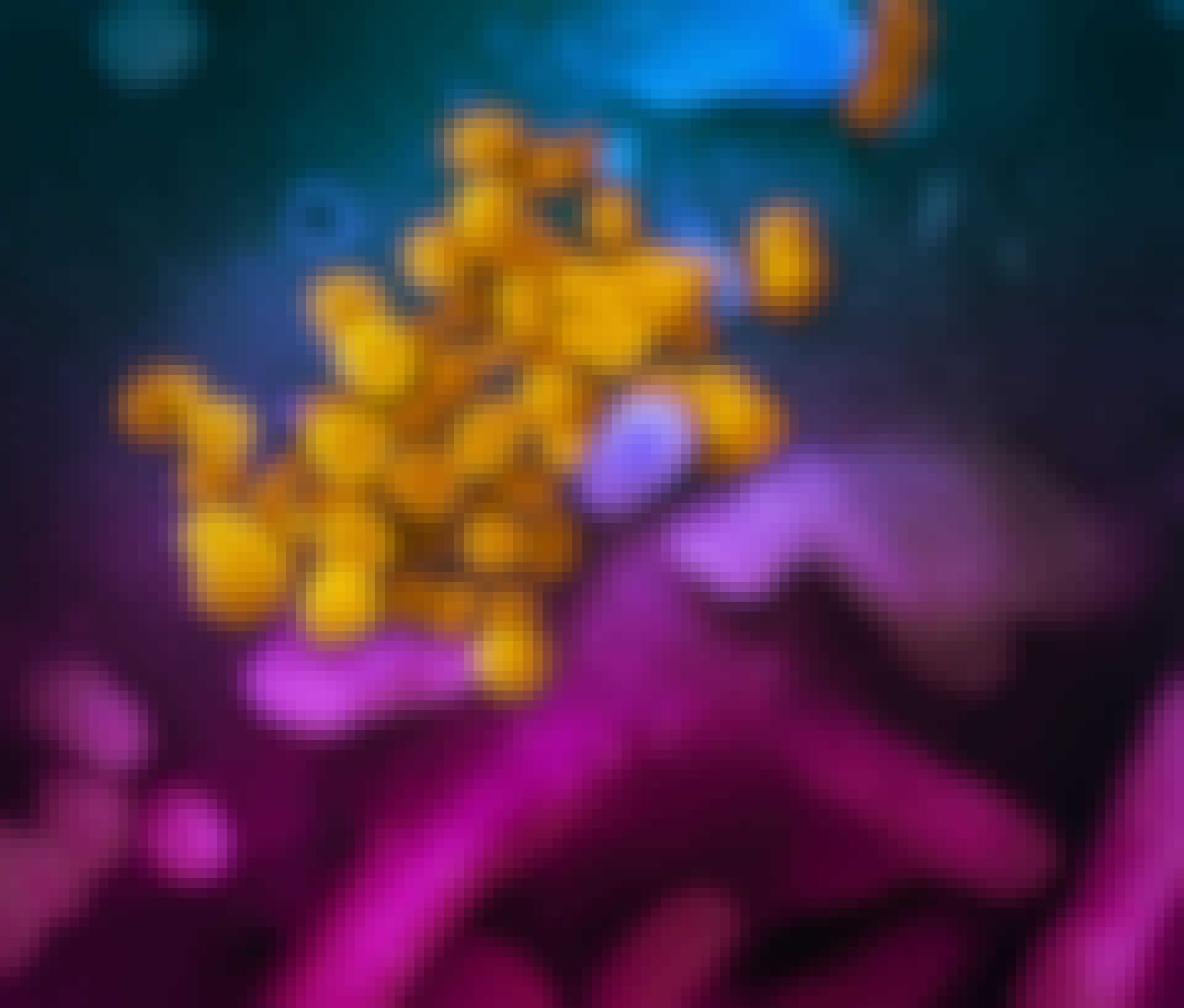 Het nieuwe coronavirus onder de microscoop Het nieuwe coronavirus onder de microscoop