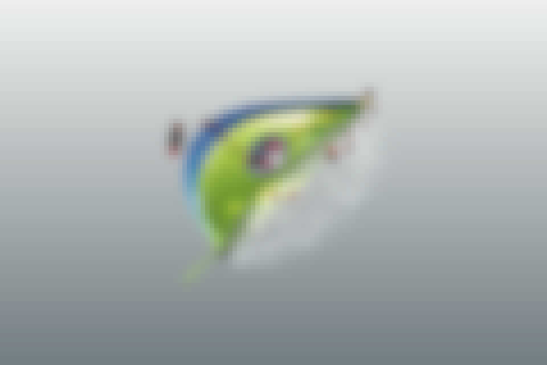 Kunstige blader – fotosyntese Kunstige blader – fotosyntese