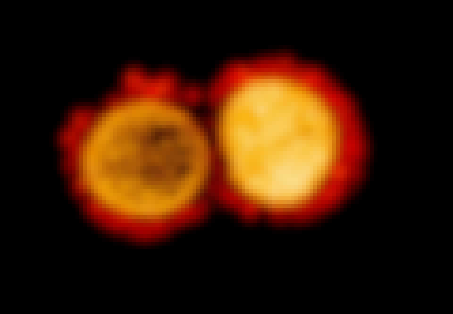 Immuun coronavirus Immuun coronavirus