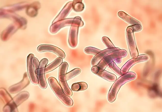 Epidemi – kolera