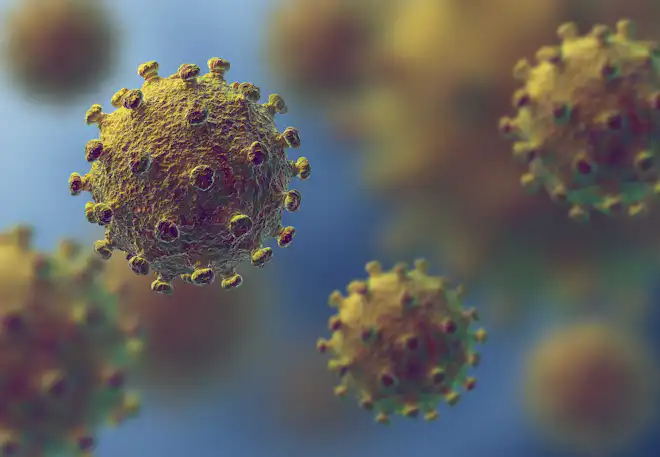 Epidemi – hiv
