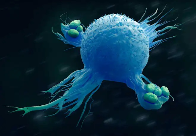 immunforsvar makrofager