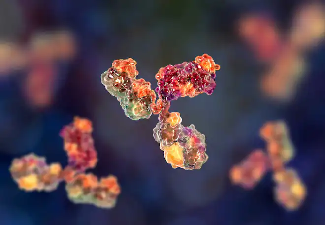 immunforsvar antistoff