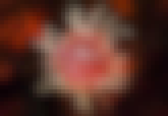 immuunsysteem dendritische cellen immuunsysteem dendritische cellen