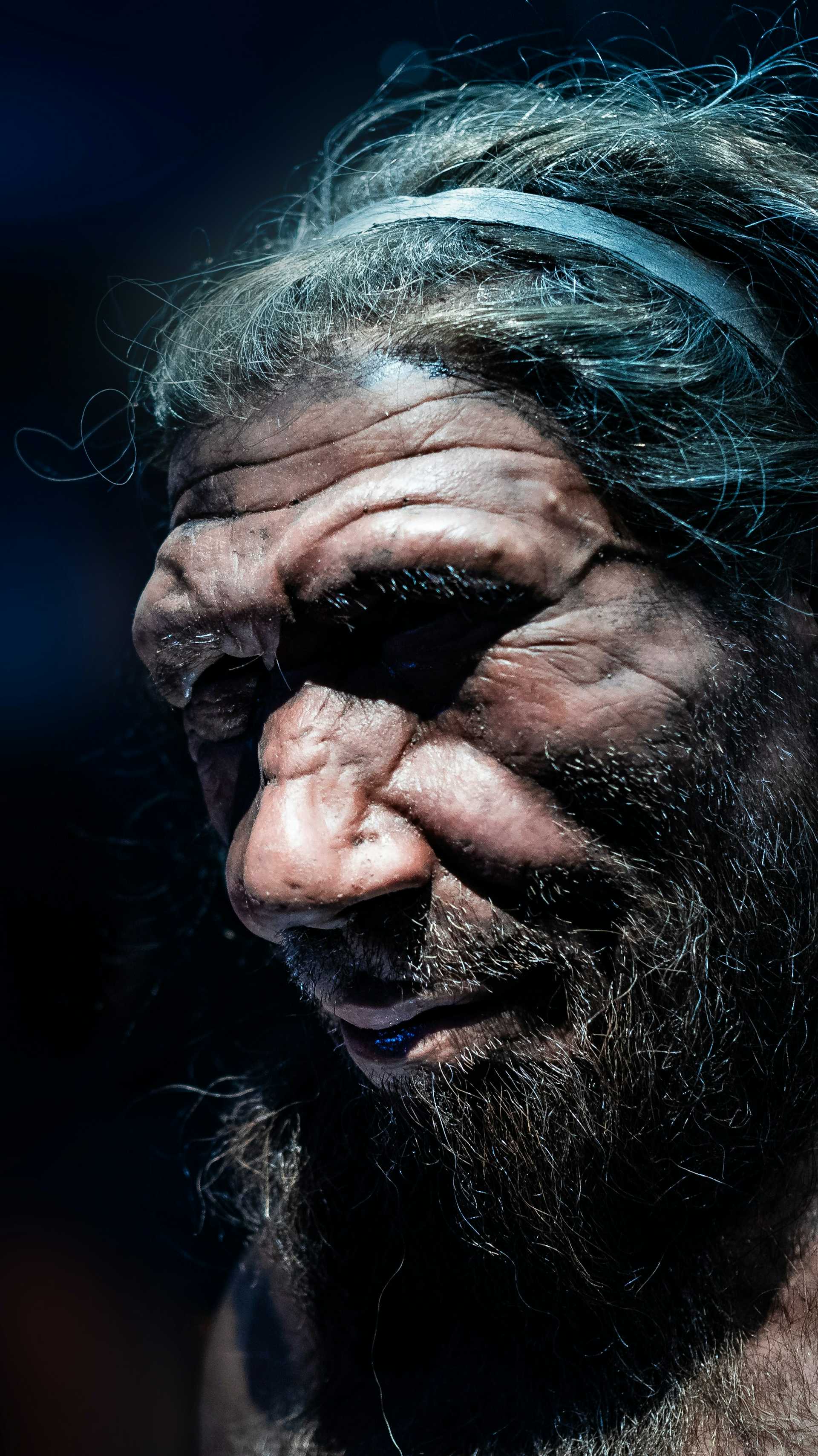 Touw ontkracht mythe over domme Neanderthaler | wibnet.nl