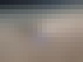 De-grote-pieterman De grote pieterman