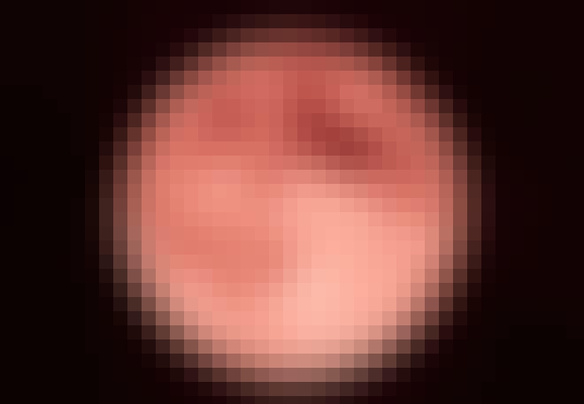 vollemaan - aardbeimaan vollemaan - aardbeimaan