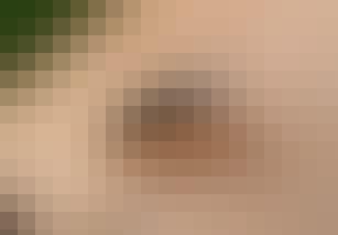 Vlieg-zit-op-mens Vlieg zit op mens