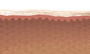 Get Hvordan Sette Influensavaksine I Armen Pics