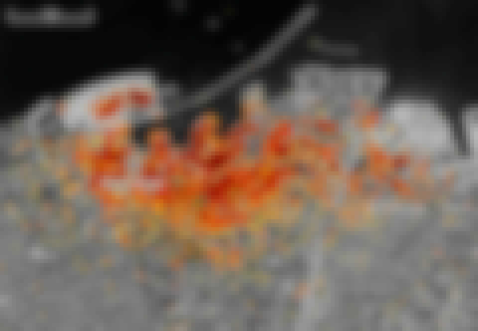 Omfattningen av förstörelsen i Beirut visad på satellitkartor Omfattningen av förstörelsen i Beirut visad på satellitkartor
