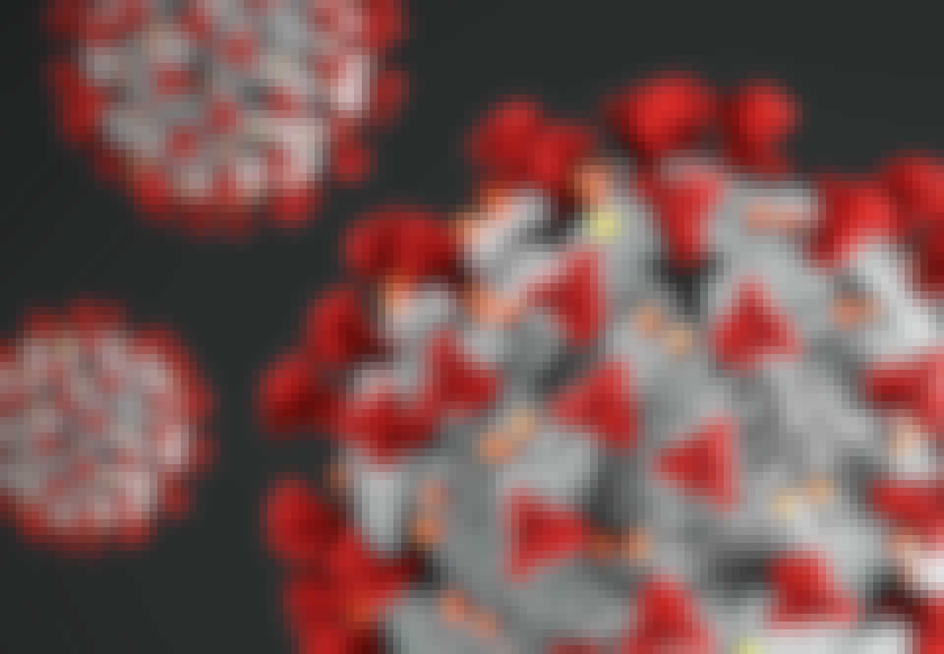 Coronavirus Coronavirus