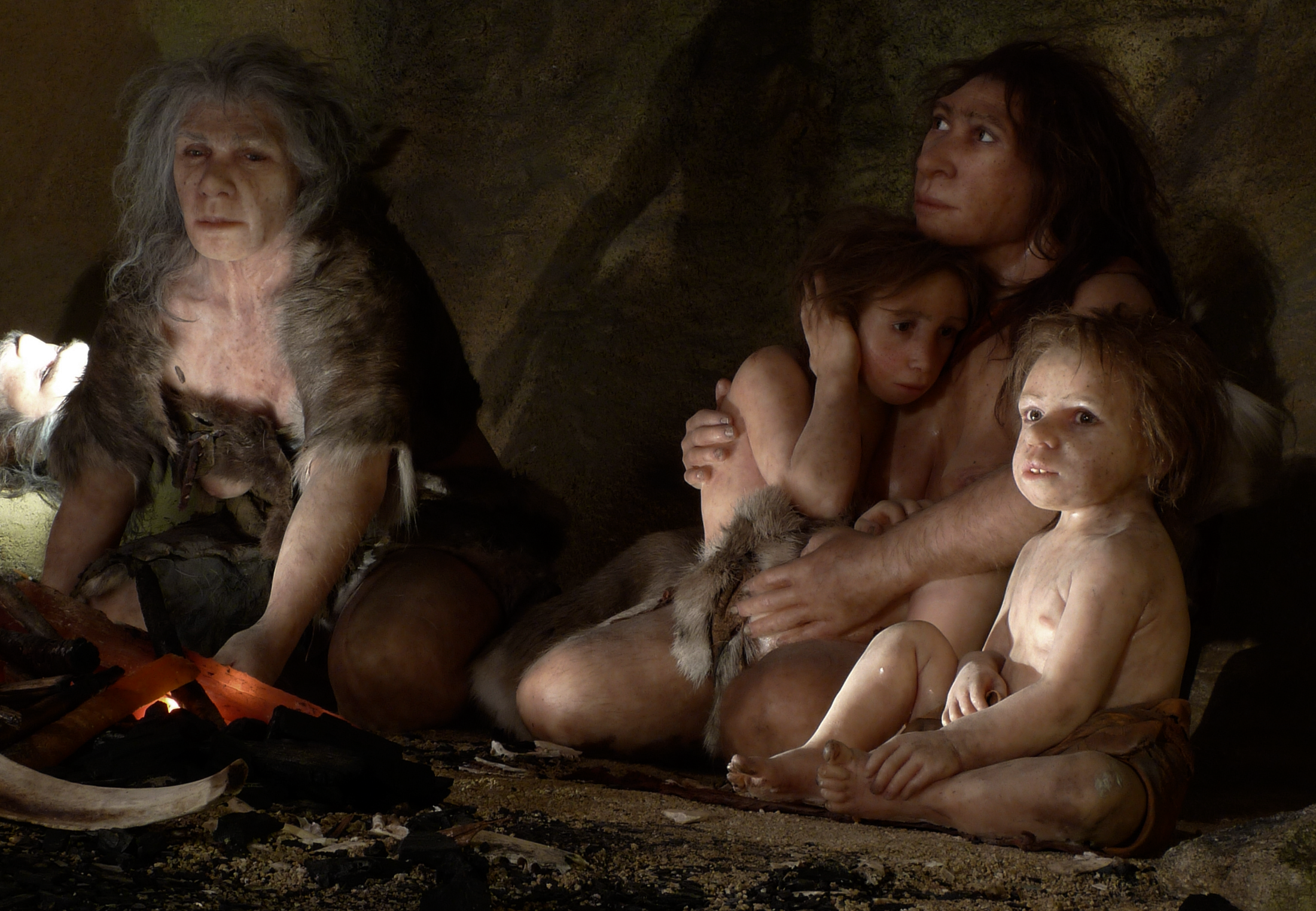 Neanderthal Porn