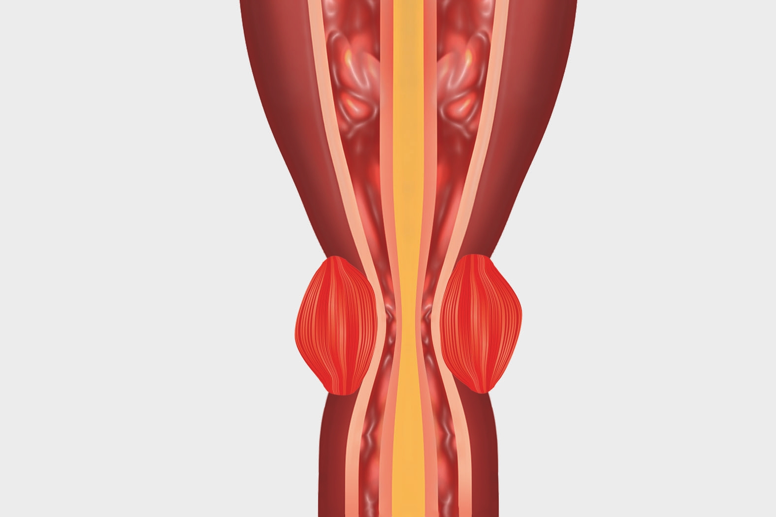 Kan Blaeren Sprekke Hvis Du Holder Deg Illvit No