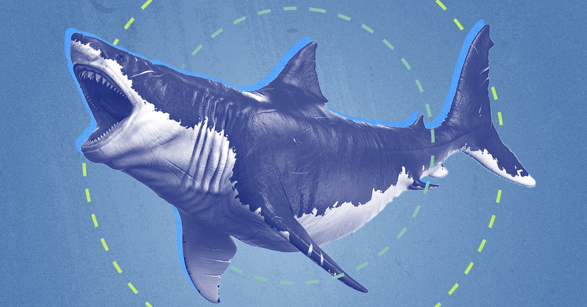 De megalodon de grootste haai aller tijden