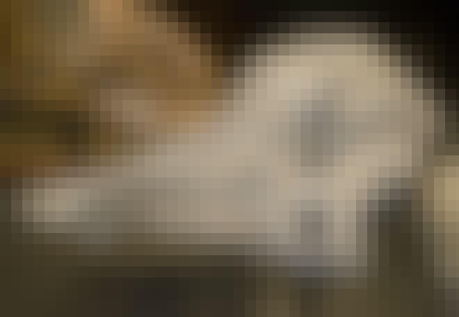 Kranium af dinosauren Hypacrosaurus stebingeri Kranium af dinosauren Hypacrosaurus stebingeri