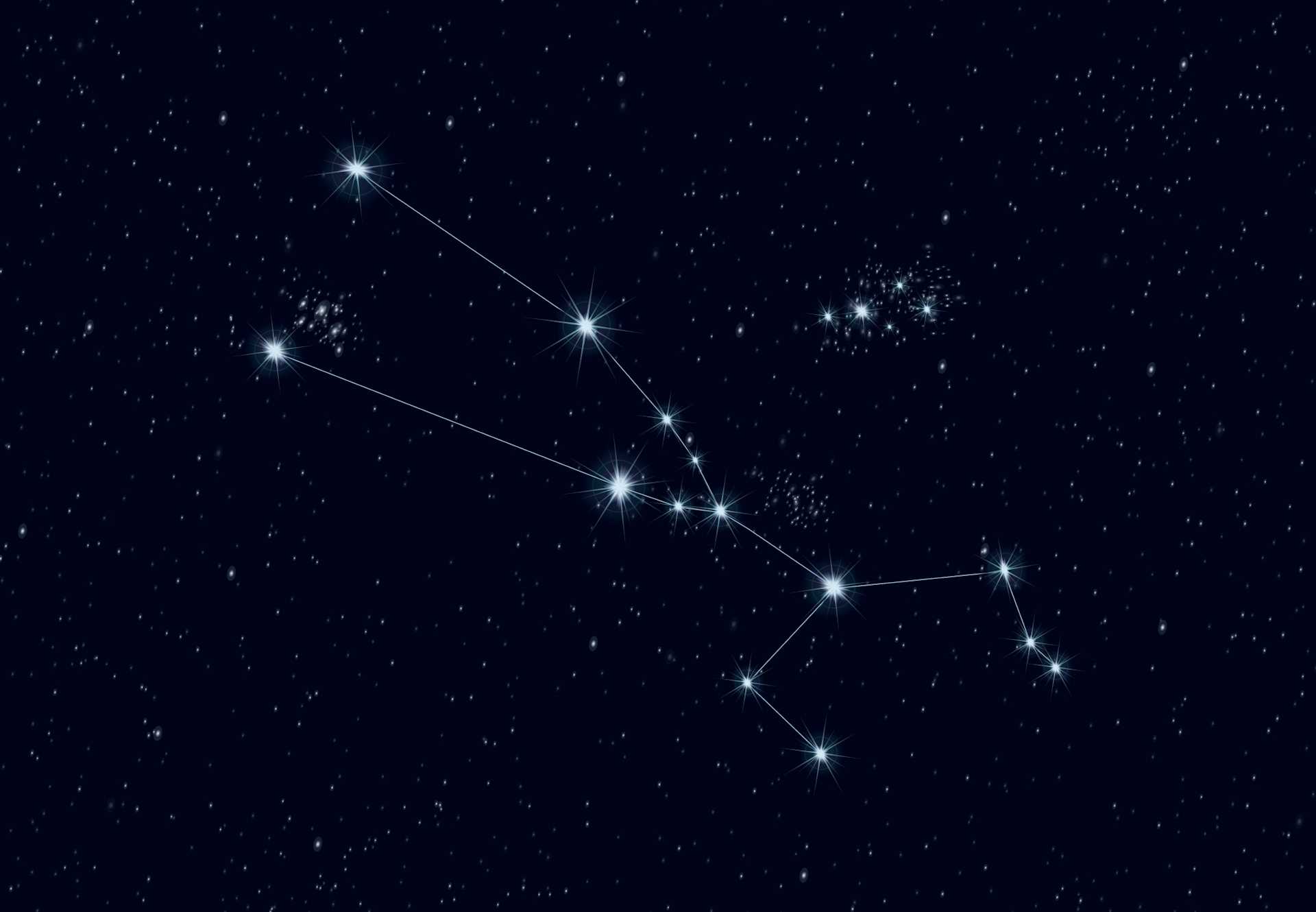 Stier - Kijk hier hoe je het sterrenbeeld Stier vindt | wibnet.nl