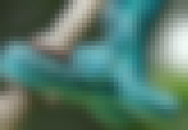 Blauwe gifslang kronkelt zich om een tak Blauwe gifslang kronkelt zich om een tak